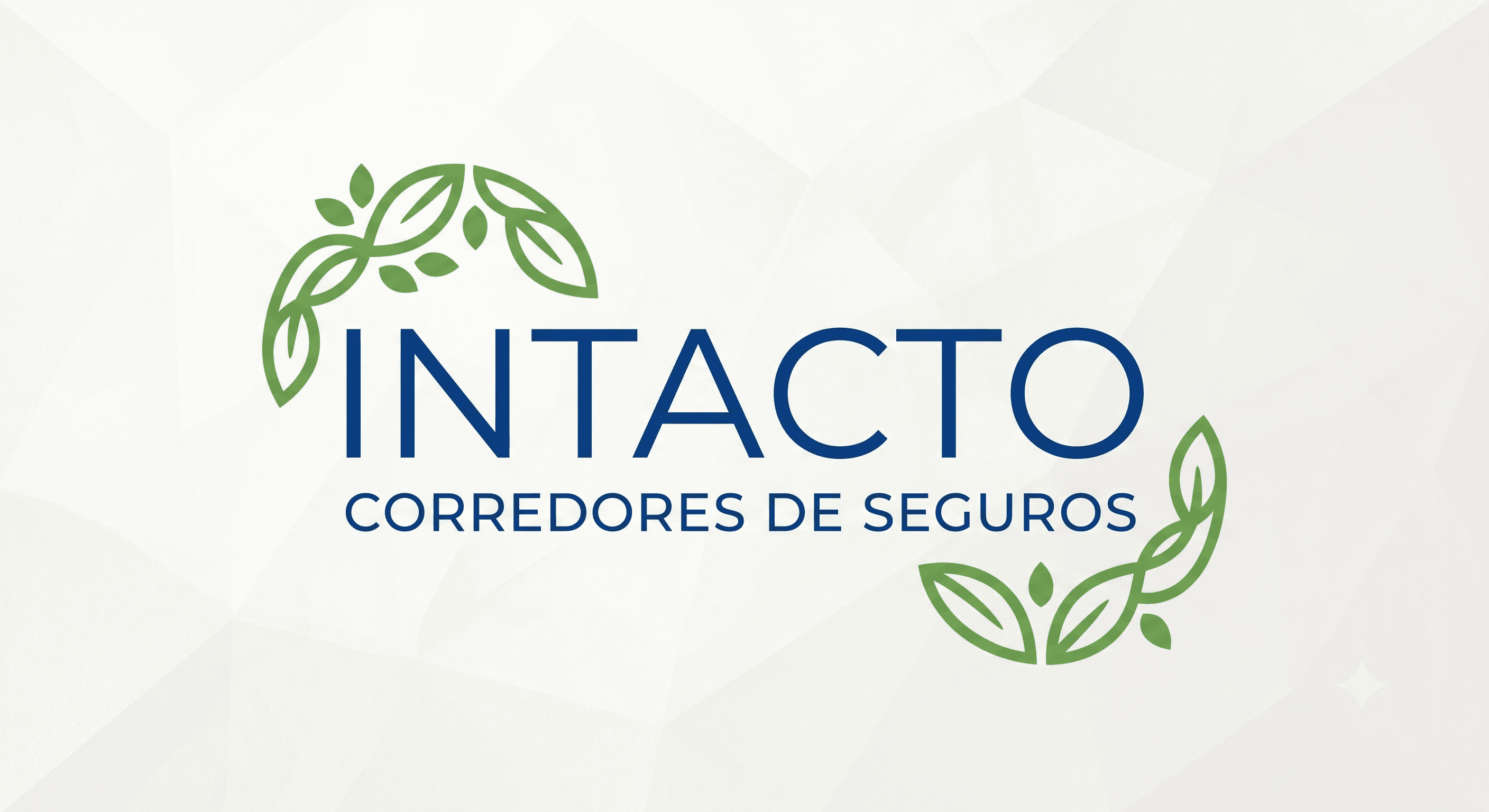 Intacto Corredora de Seguros